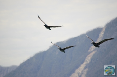 Fotos da pesca esportiva em Chaiten no Chile